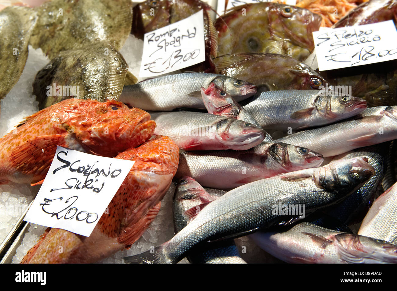 Mercato del pesce di Rialto, Venezia Foto Stock