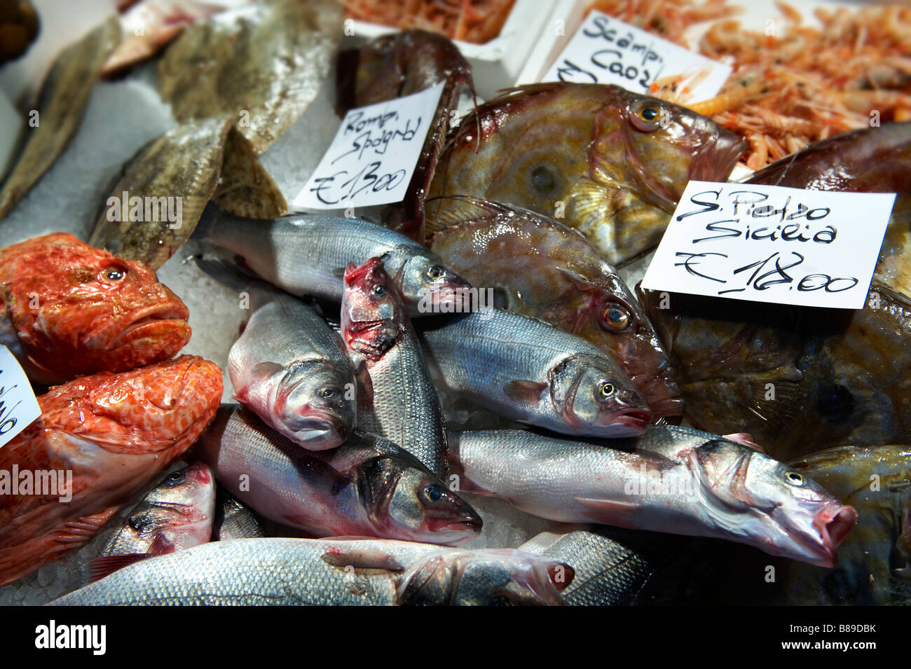 Mercato del pesce di Rialto, Venezia Foto Stock