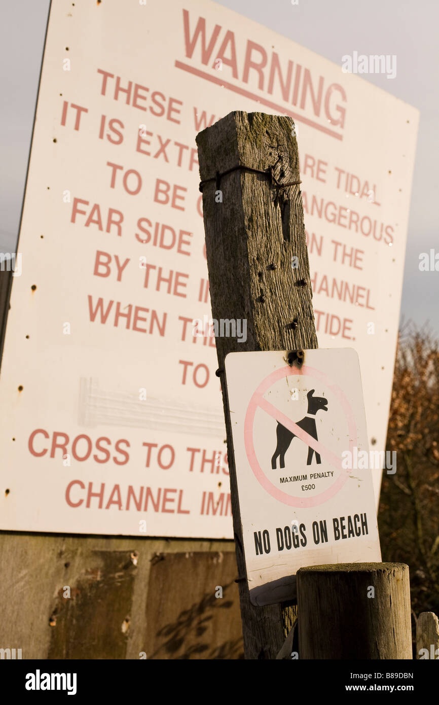 I segni che indicano "no cani sulla spiaggia' e un messaggio di avviso sui rischi di marea Foto Stock