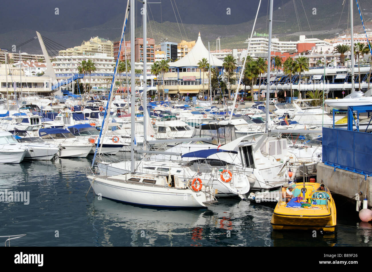 Porto Colon in Costa Adeje Tenerife sud Isole Canarie marina e le proprietà  che si affaccia sul sviluppo marino Foto stock - Alamy