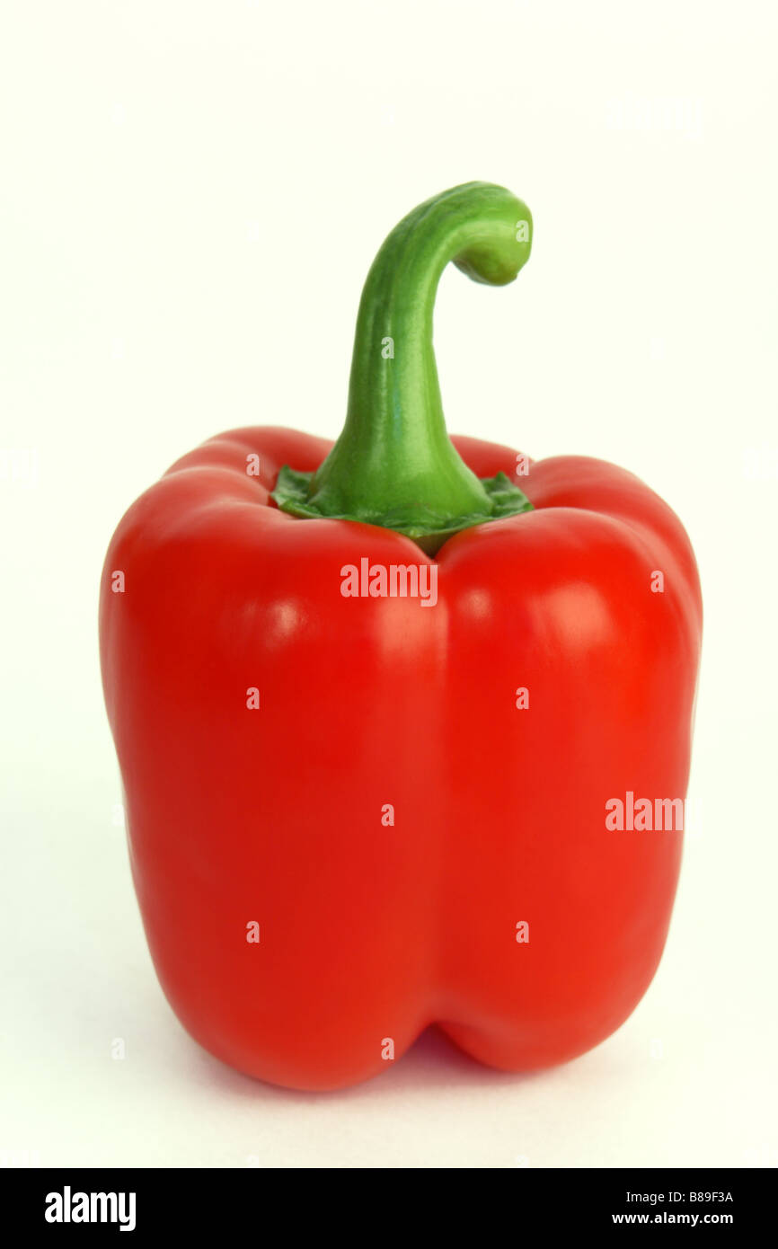 Un intero peperone rosso o capsicum su sfondo bianco Foto Stock