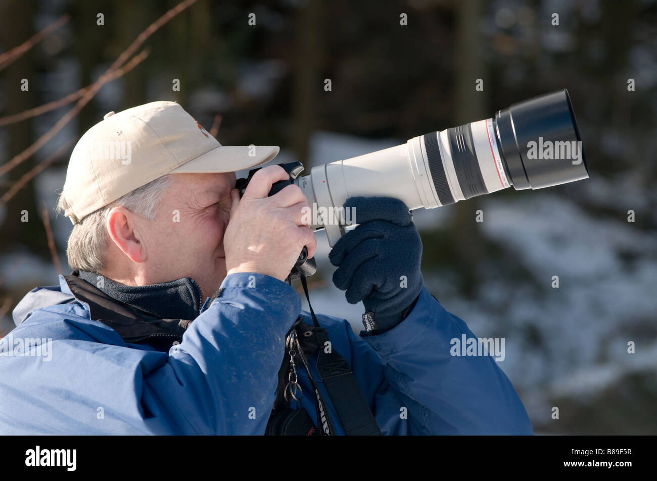 Un uomo di mezza età utilizzando una lente a lungo a fotografare il red kites a Nant Yr Ariano centro foresta mid Wales UK nella neve Foto Stock