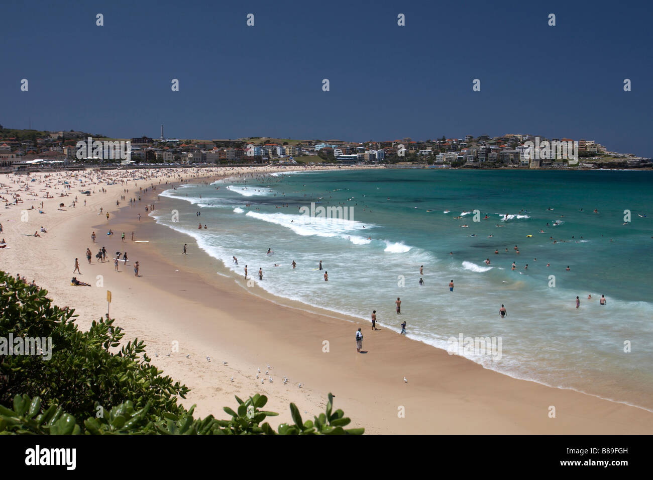 La spiaggia di Bondi in estate, Sydney Foto Stock