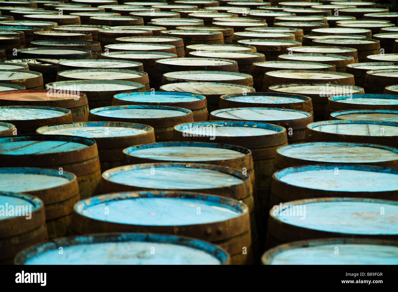 Barili Whiskey Scozia Scotland Foto Stock