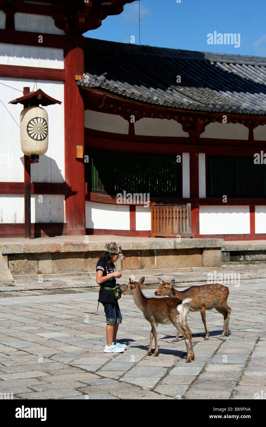 Ragazza alimentare due daini domestici al di fuori del tempio di Todai-ji di Nara Foto Stock