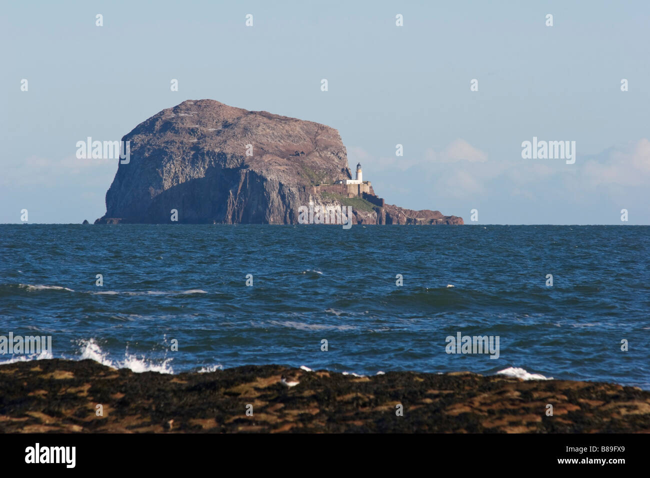 Affacciato sul mare, sull'isola di Bass Rock e sul faro dalla spiaggia, North Berwick, Scozia Foto Stock