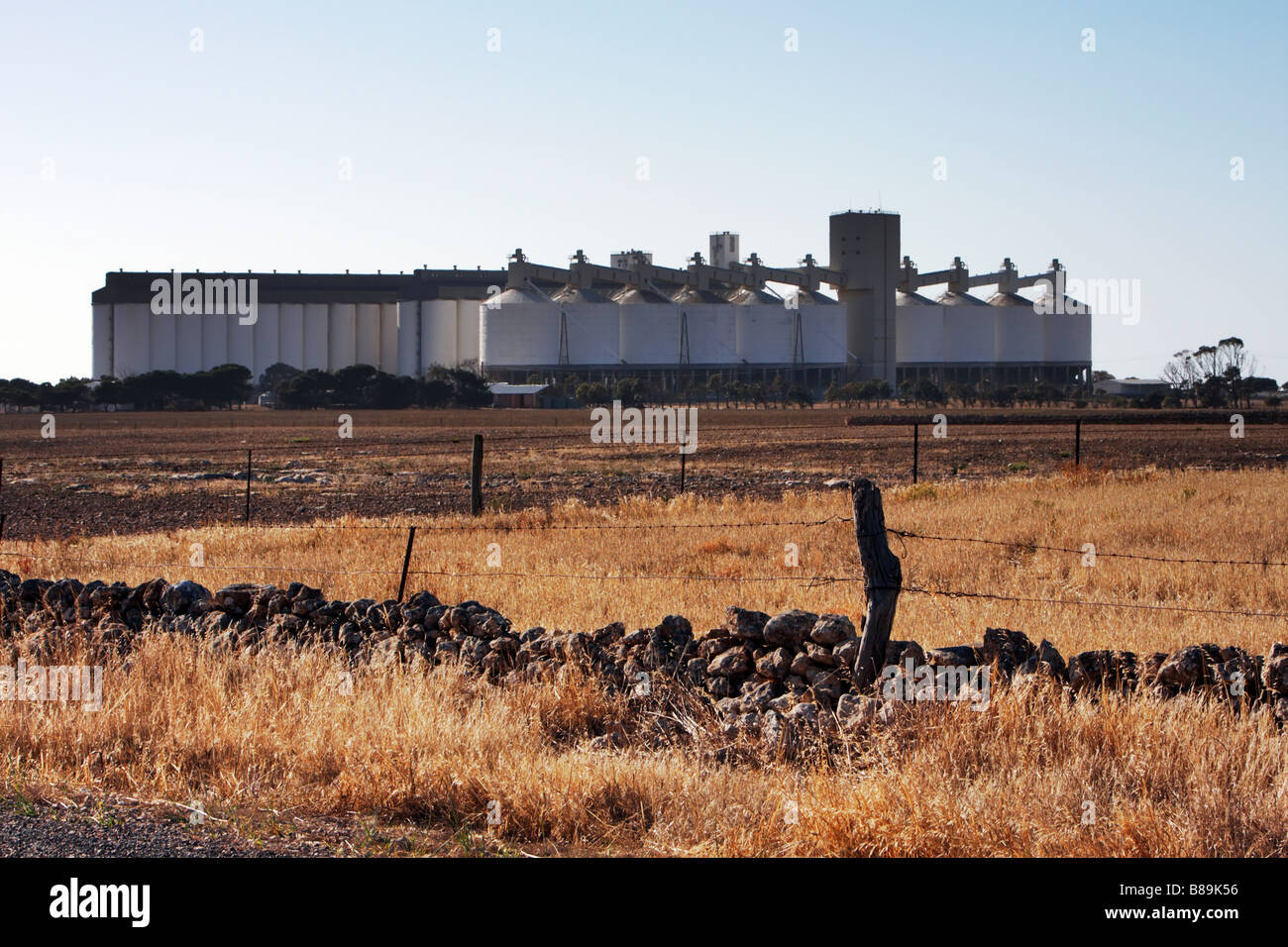 Silos per il grano Foto Stock