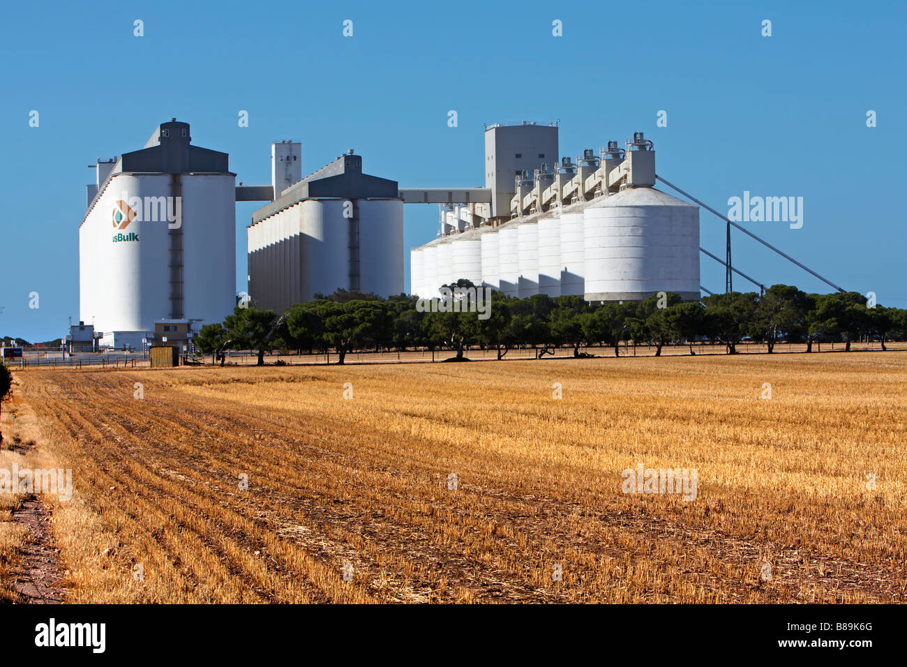 Silos per il grano Foto Stock