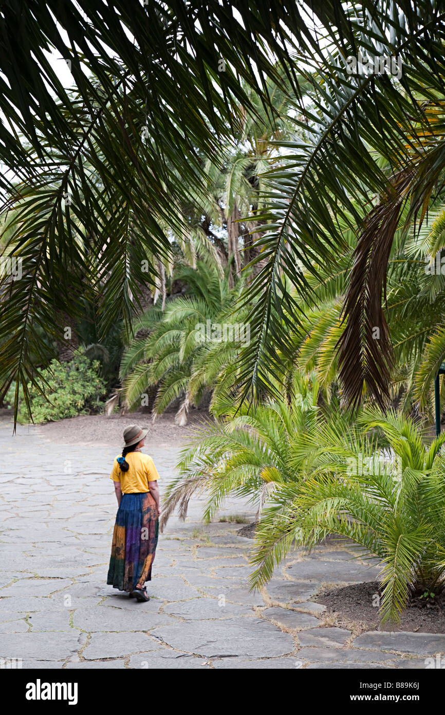 Donna che cammina attraverso il boschetto di canaria di palme (Phoenix canariensis) Jardin Canario giardini botanici Gran Canaria Spagna Foto Stock