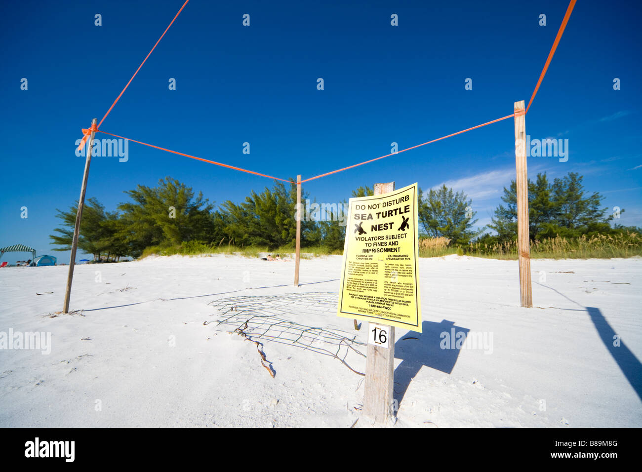 Segnale non disturbare con del nastro isolante intorno a Sea Turtle Nest a Fort DeSoto Park Beach, San Pietroburgo Florida, Tampa Bay Area. Foto Stock