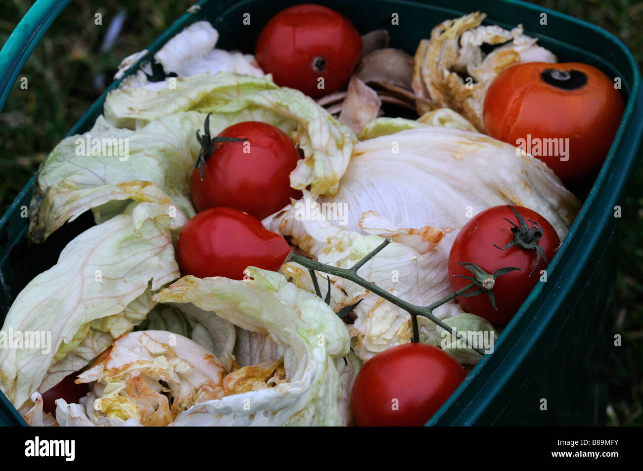 Le verdure nel contenitore di riciclaggio Foto Stock