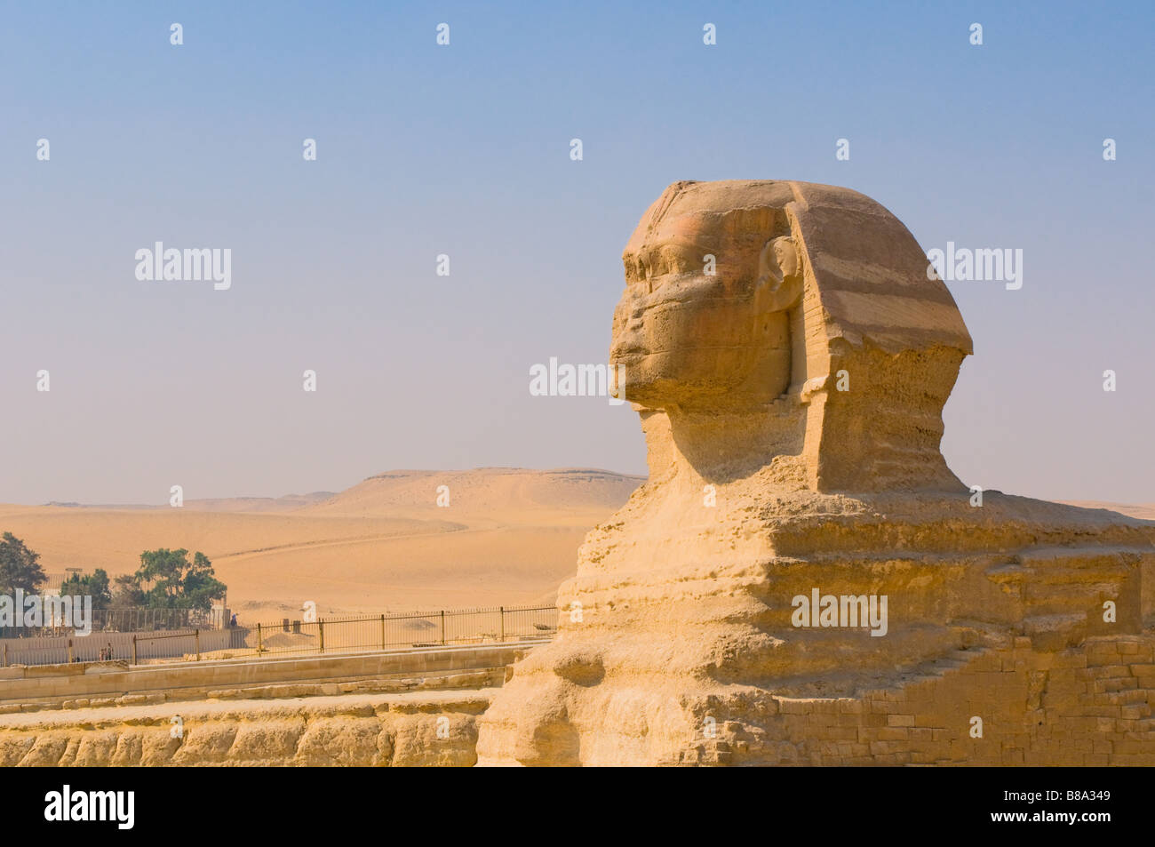 La sfinge e piramidi a Giza Cairo Foto Stock