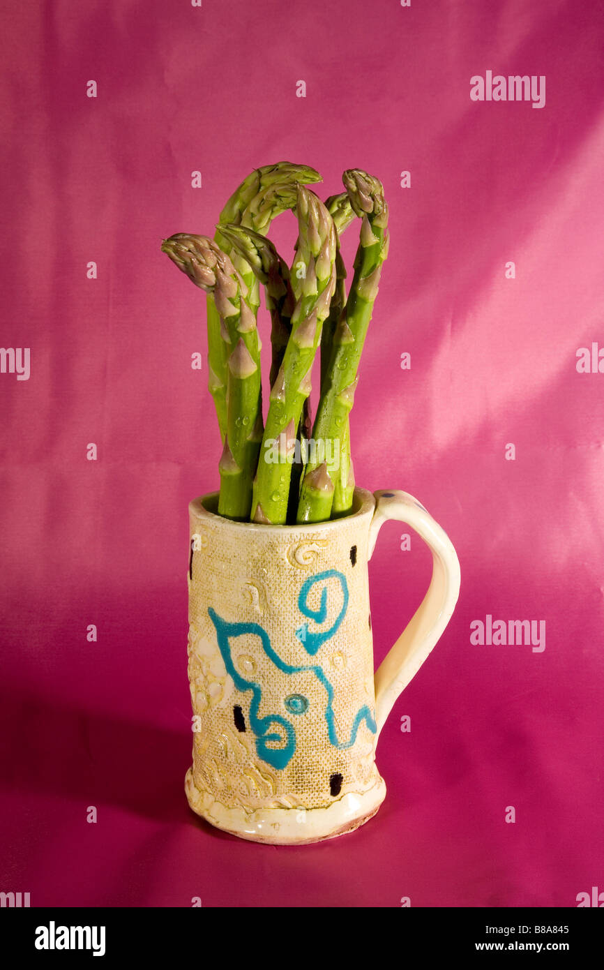 Freschi asparagi organico spears dal giardino. Foto Stock