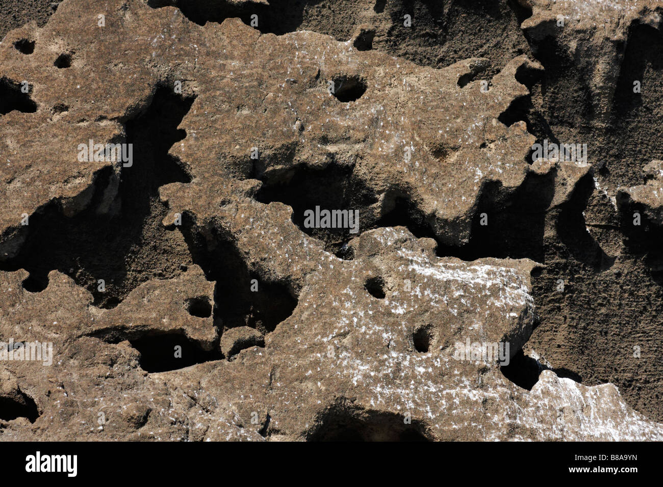 Rock astratto di pattern a Puerto Egas, isola di Santiago, Galapagos, Ecuador nel mese di settembre Foto Stock