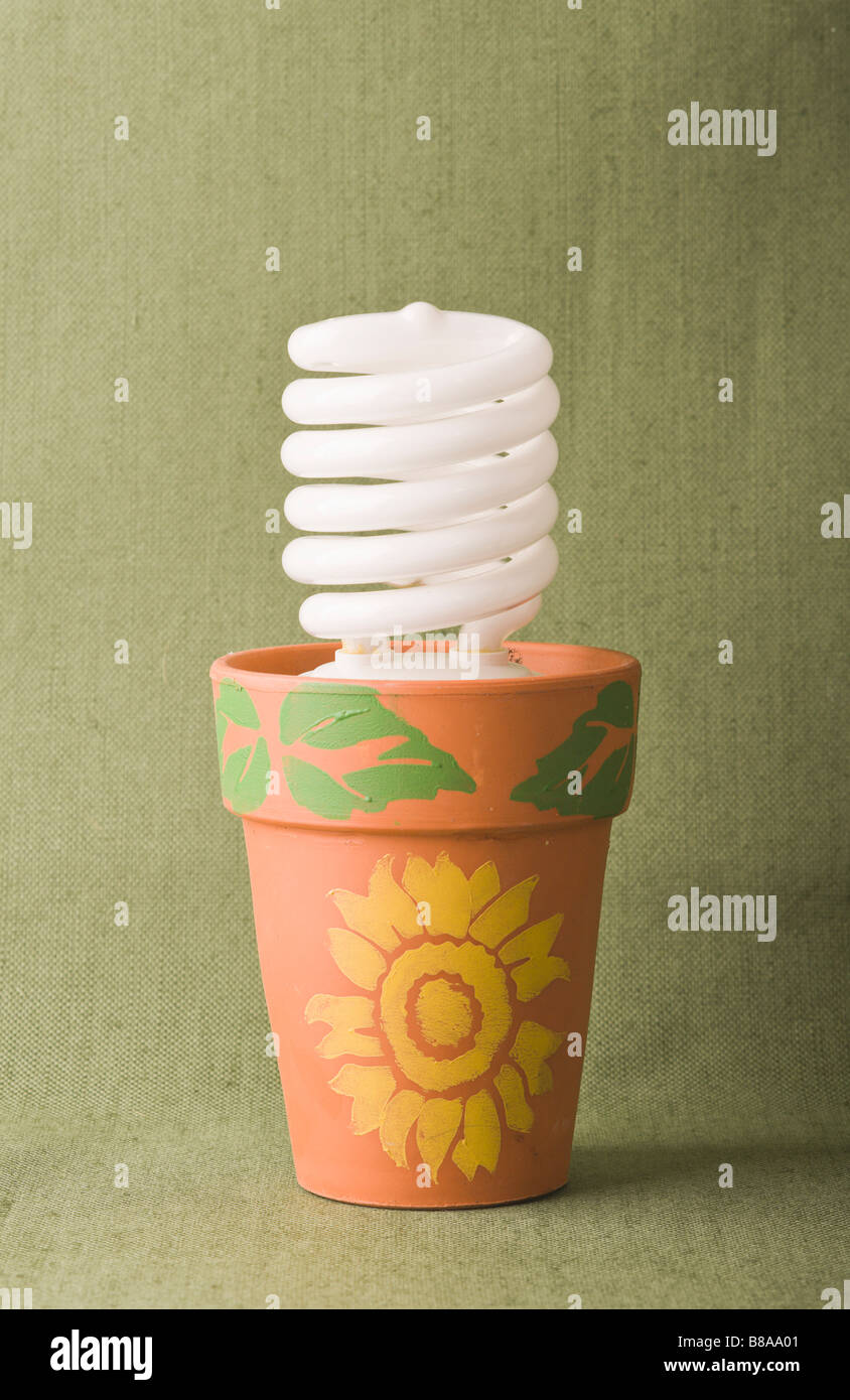 Ecofriendly del concetto di soluzione metafora simbolo compatta a risparmio energetico lampada fluorescente panted in pentola di creta isolato sul verde e per la Giornata della Terra Foto Stock Ecofriendly del concetto di soluzione metafora simbolo compatta a risparmio energetico lampada fluorescente panted in pentola di creta isolato sul verde e per la Giornata della Terra Foto Stock