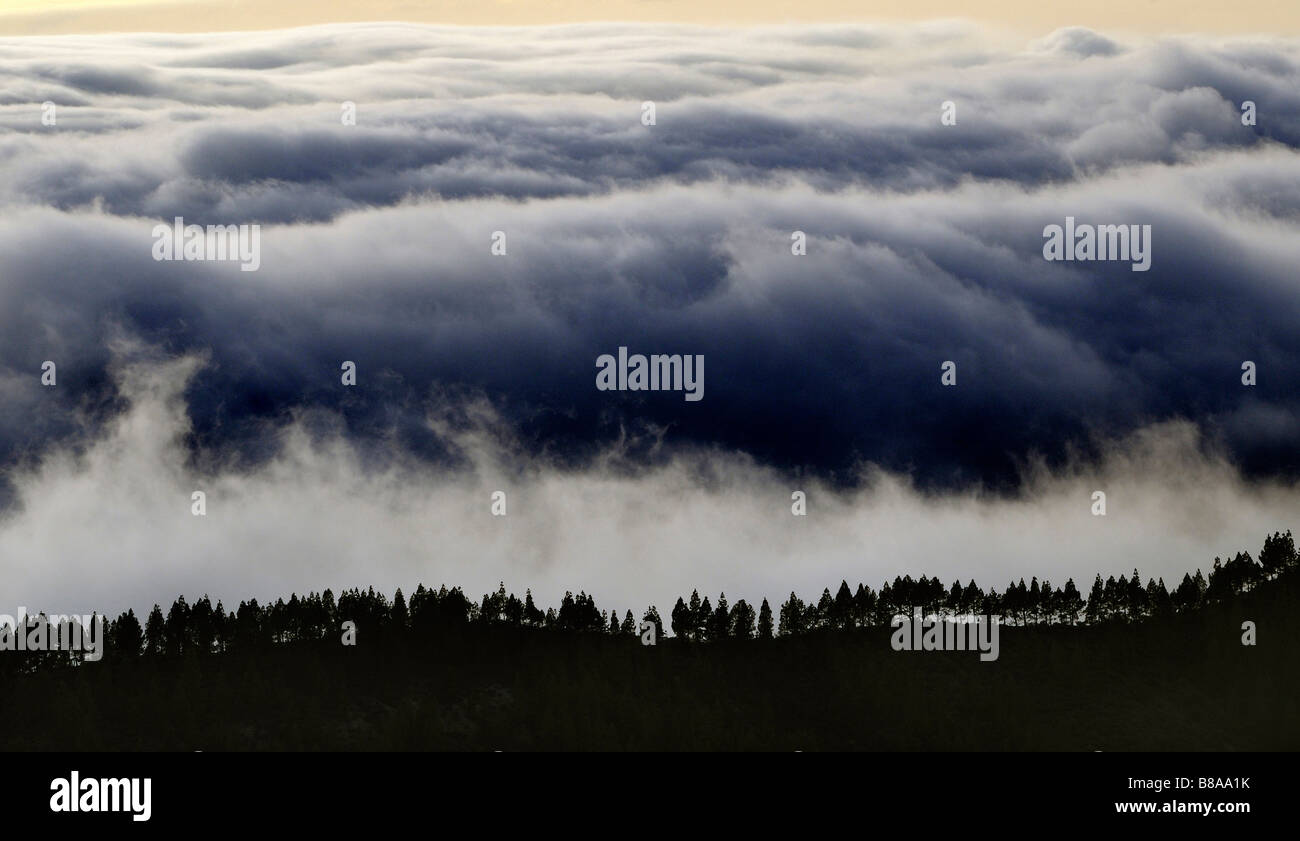 Un cloud spostare anteriore nella parte superiore della montagna in Gran Caneria Foto Stock