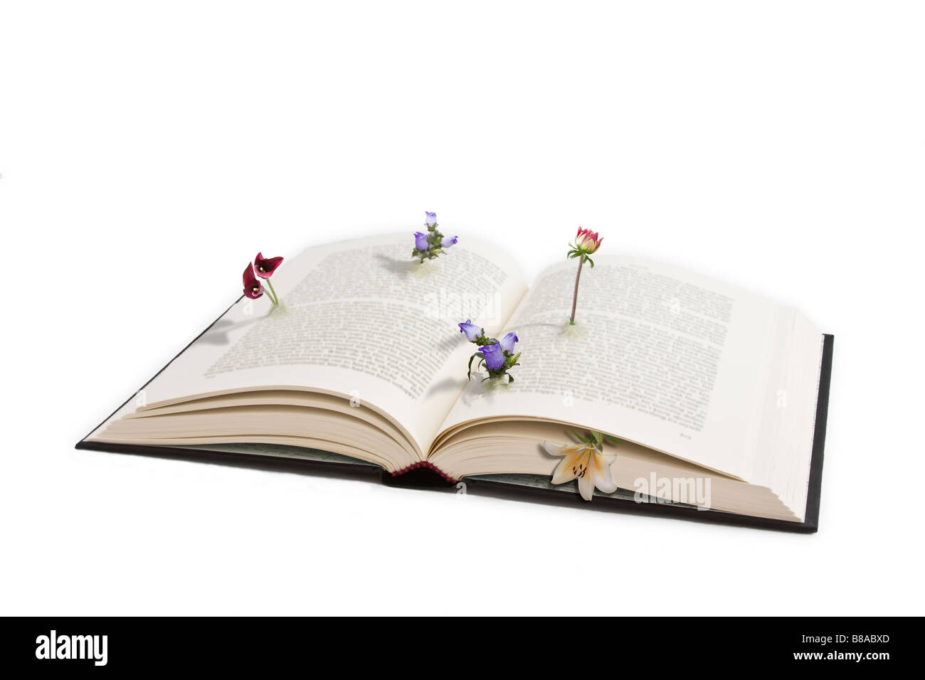 Cinque diversi fiori crescono fuori le pagine di un libro rilegato. Foto Stock