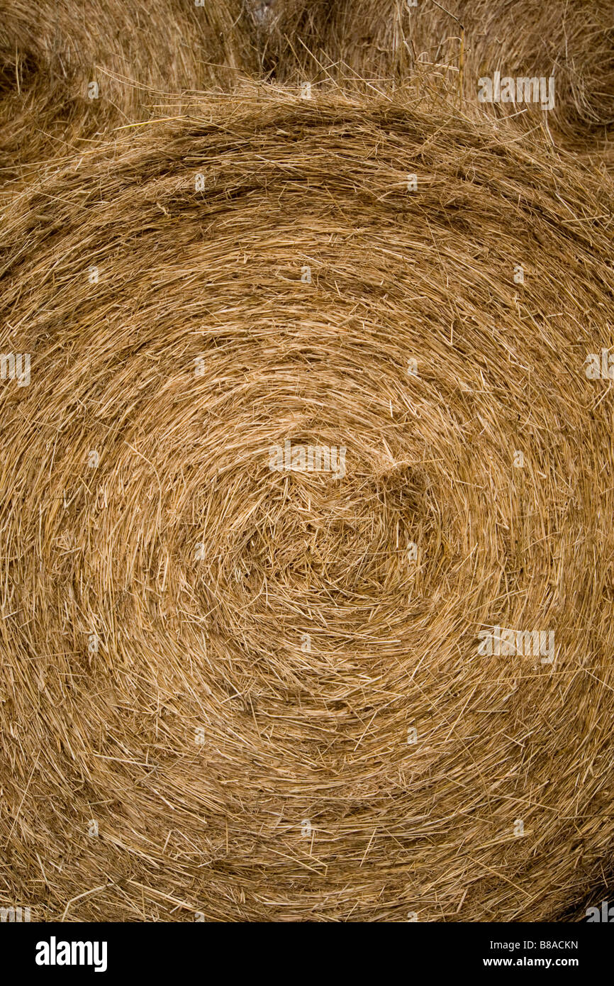 In prossimità di grandi balle sul Farm in Weardale Co . Durham Foto Stock