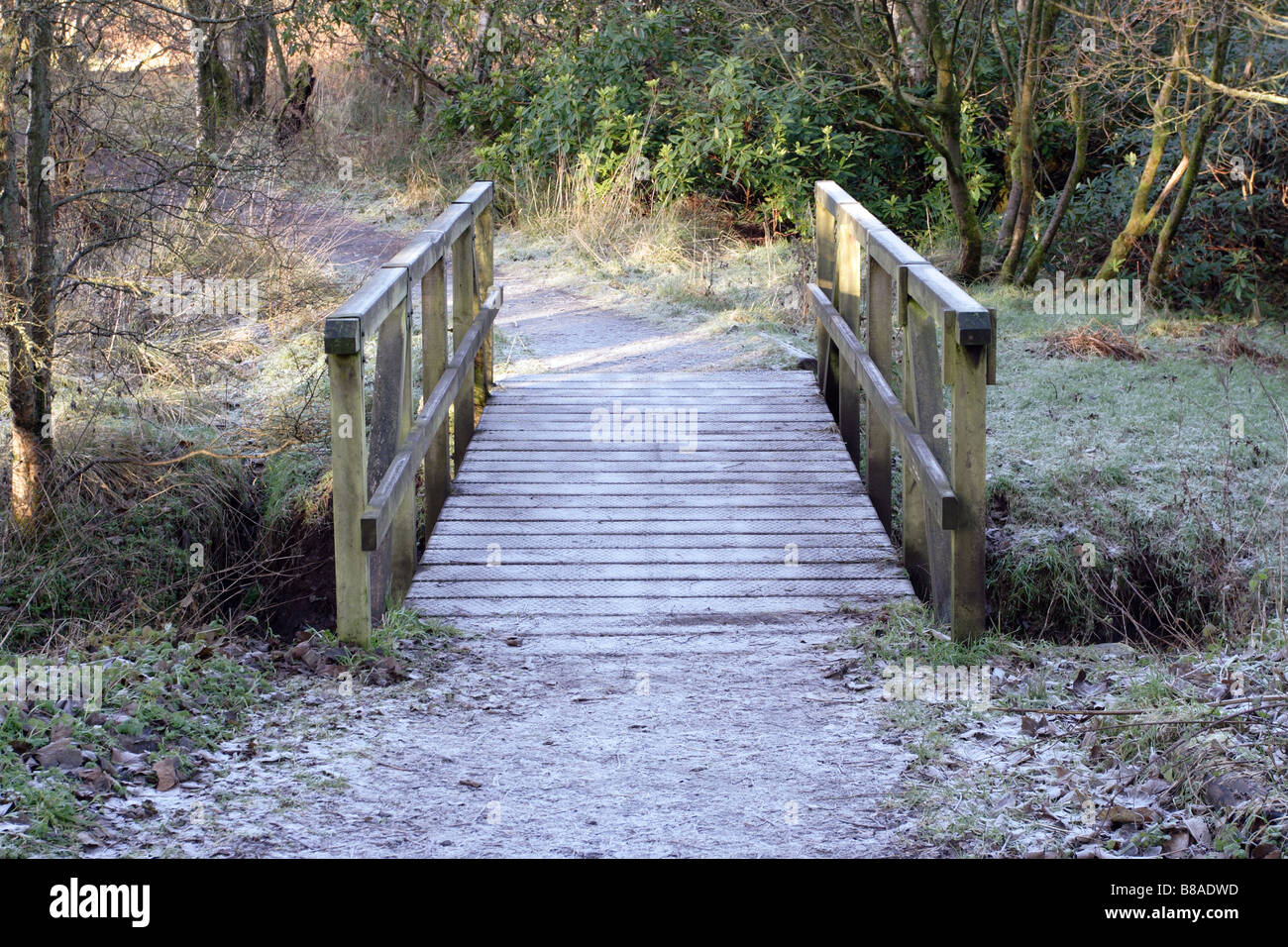 Percorso Semple Trail su un ponte pedonale in legno ghiacciato in inverno, Parkhill Woods, Clyde Muirshiel Regional Park, Lochwinnoch, Renfrewshire, Scozia, Regno Unito Foto Stock