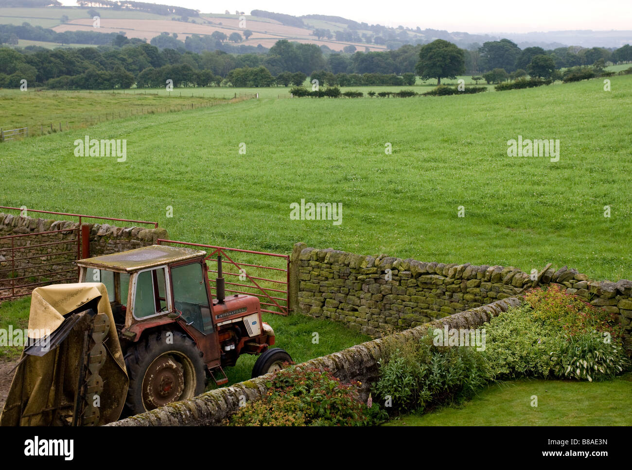 Vecchio trattore con fresa erba attaccata , campo di trifoglio in background . Foto Stock