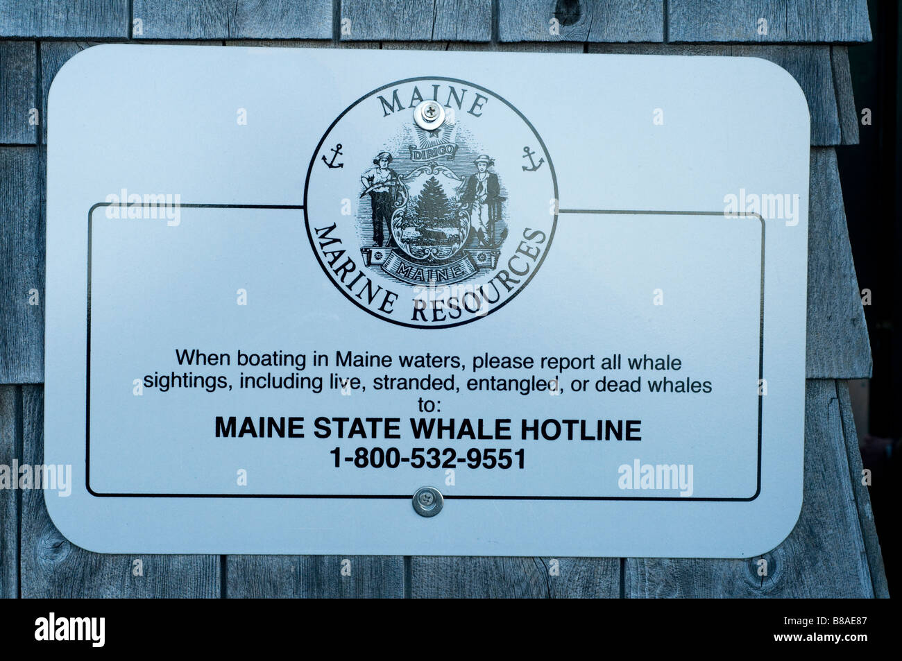 Maine risorse marine bacheca - Maine stato hotline balena Foto Stock