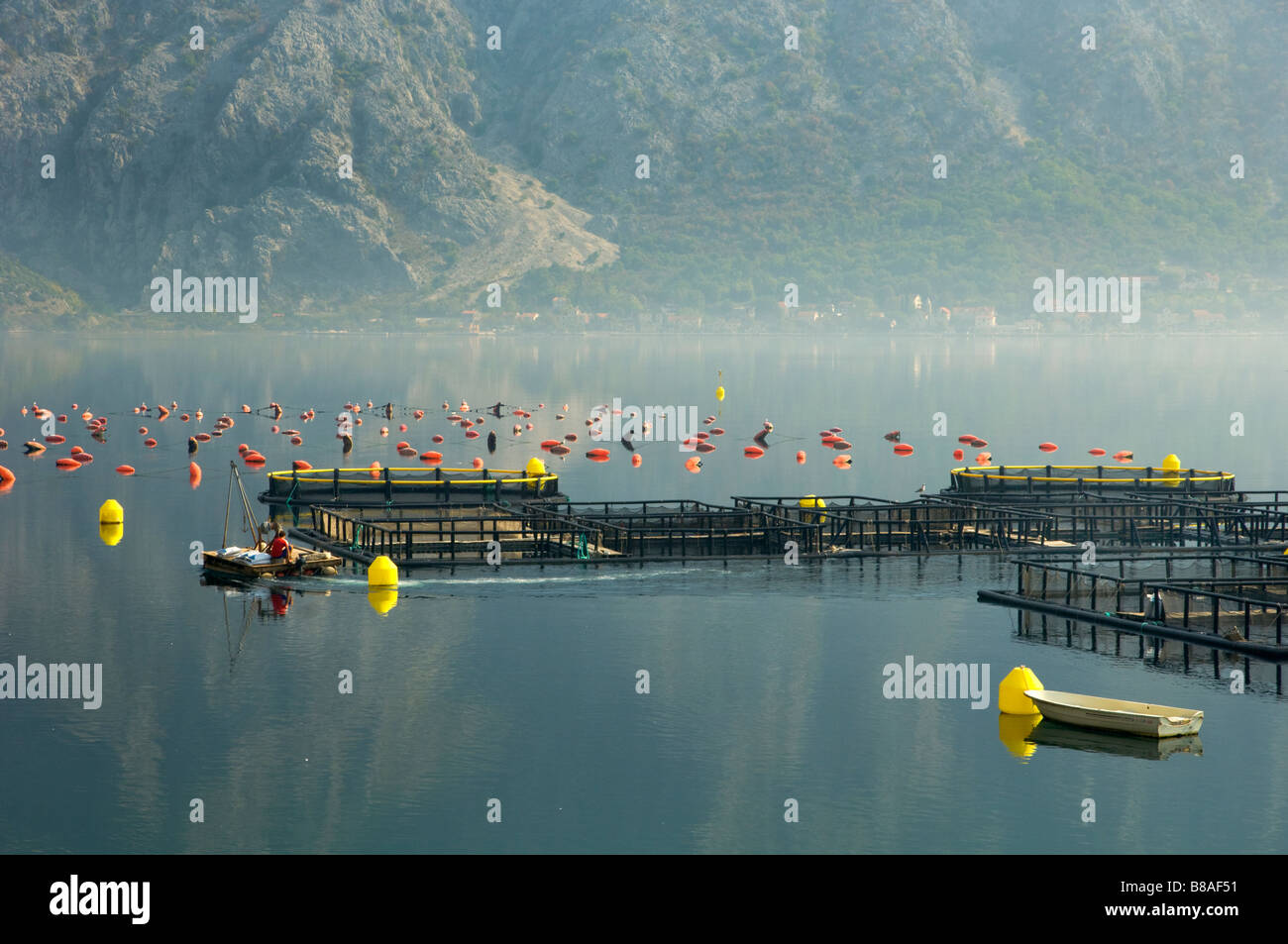 La piscicoltura nelle calme acque del lago di Kotor in Montenegro rurale Foto Stock