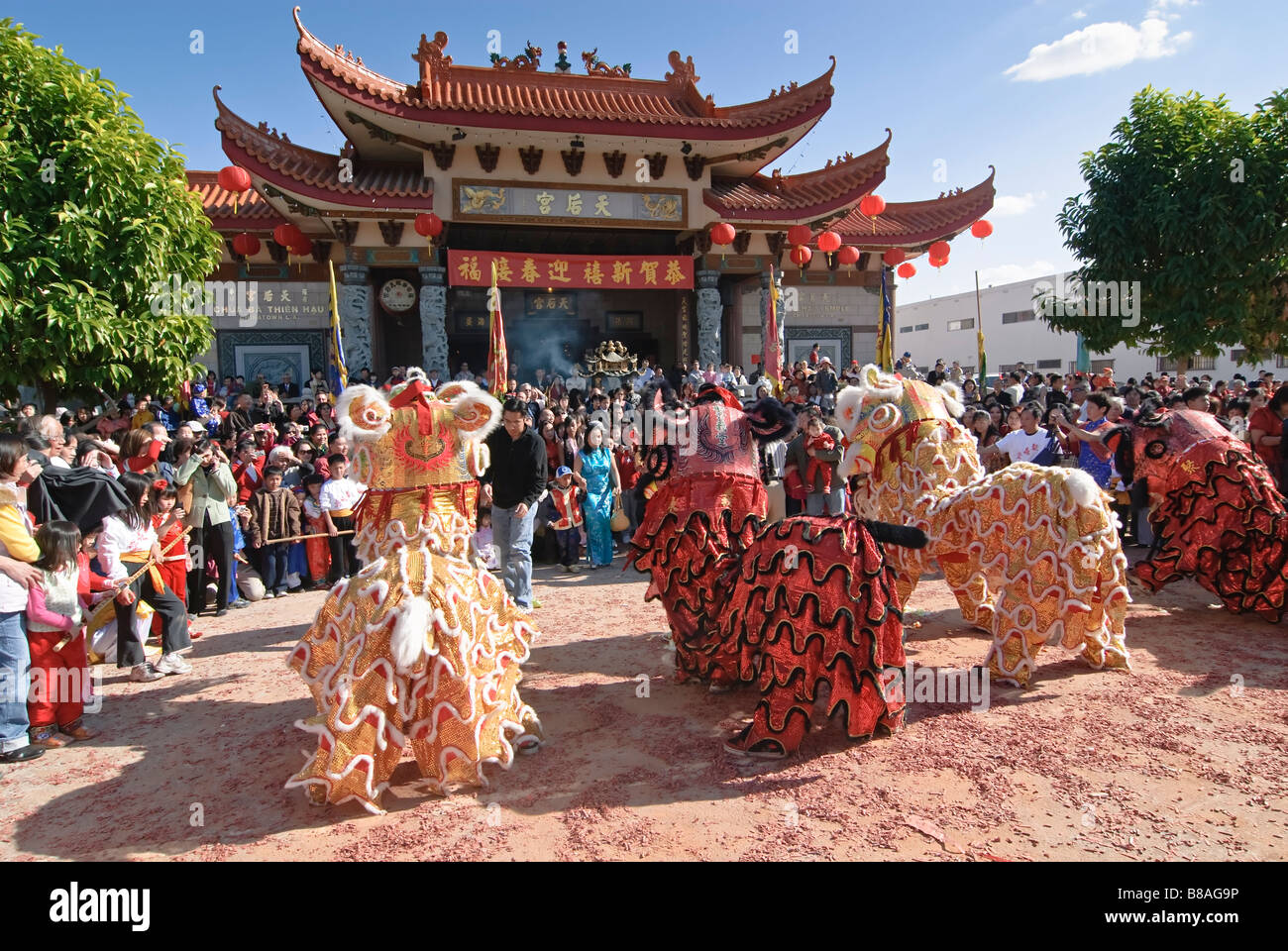 Cinese ballerini Lion durante una celebrazione. Foto Stock