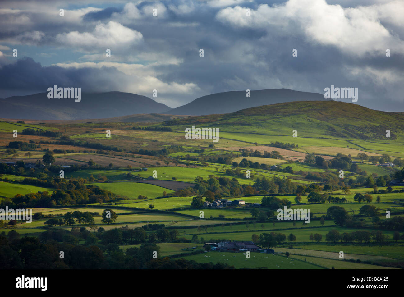 Terreni agricoli di rotolamento sul bordo del Parco Nazionale di Snowdonia, nr Ysbyty Ifan, nella contea di Conway, il Galles del Nord Foto Stock