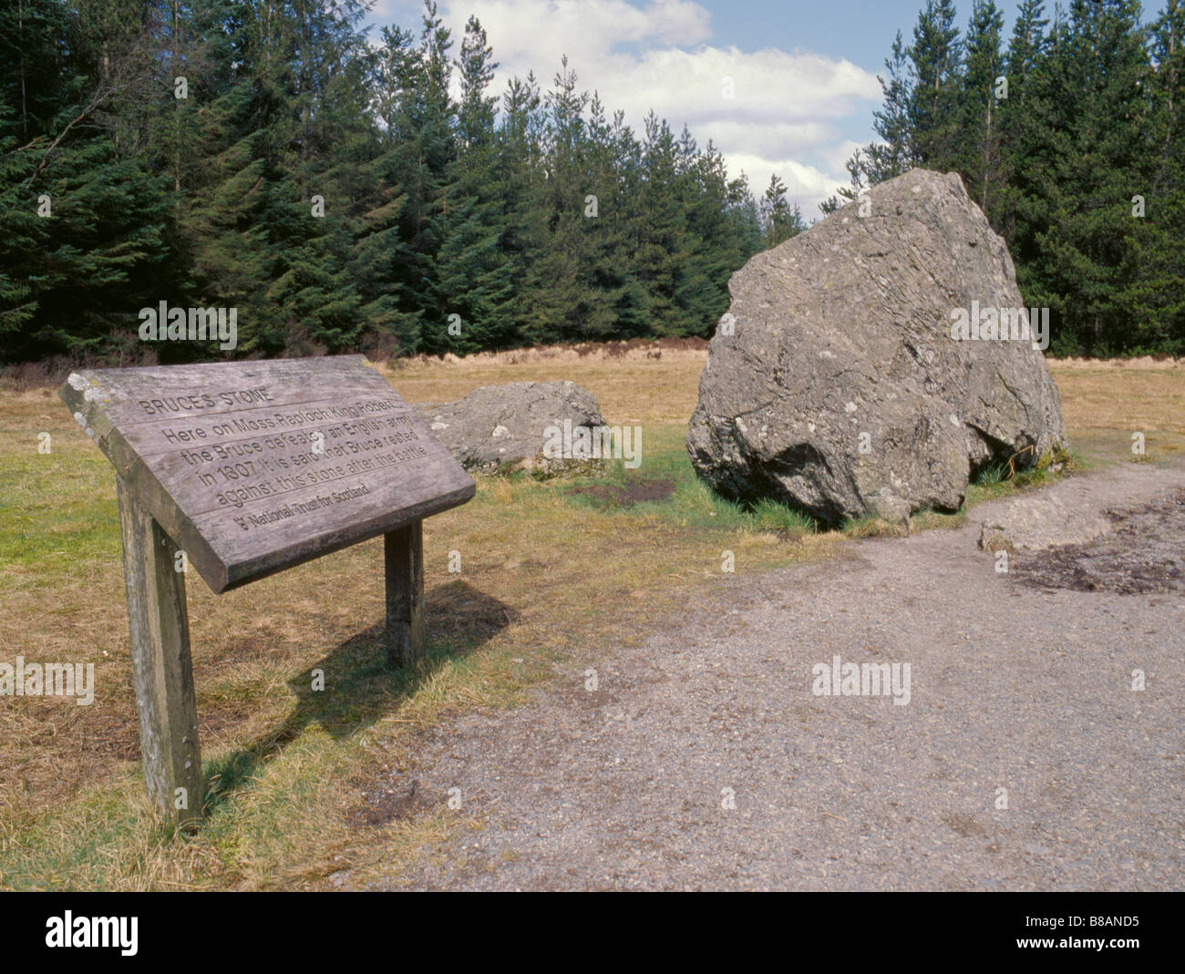Bruce della pietra, Moss Raploch, Clatteringshaws Loch, Galloway Forest Park, Dumfries & Galloway, Scotland, Regno Unito. Foto Stock