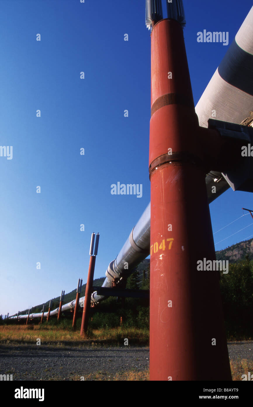 Alyeska Pipeline, Alaska, STATI UNITI D'AMERICA Foto Stock