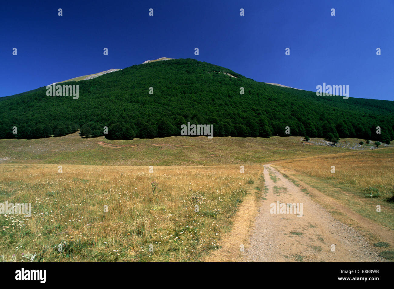 Italia, Basilicata, Parco Nazionale del Pollino, piano Ruggio e Monte Serra del prete Foto Stock
