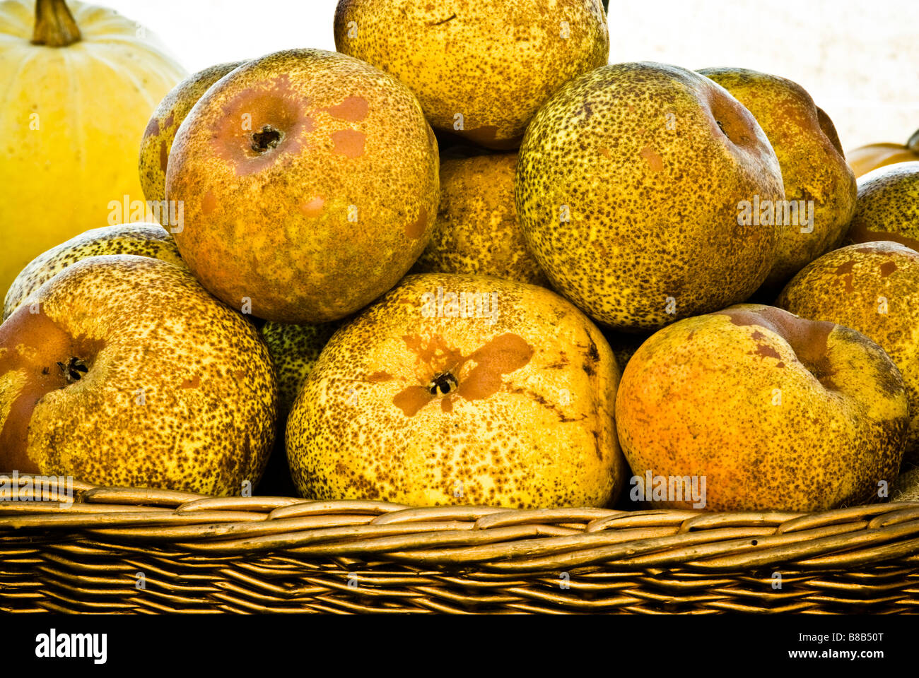 Close-up inglese tradizionale con le varietà di mele nel cestino Foto Stock