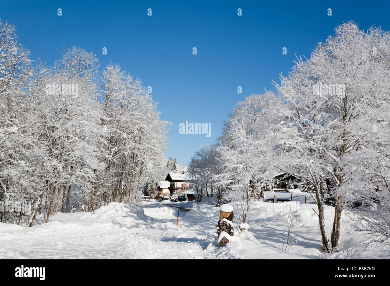 Rauriser Bucheben Sonnen Valley Austria Europa gennaio neve invernale scena con alberi coperti di bianco brina dopo la nevicata Foto Stock