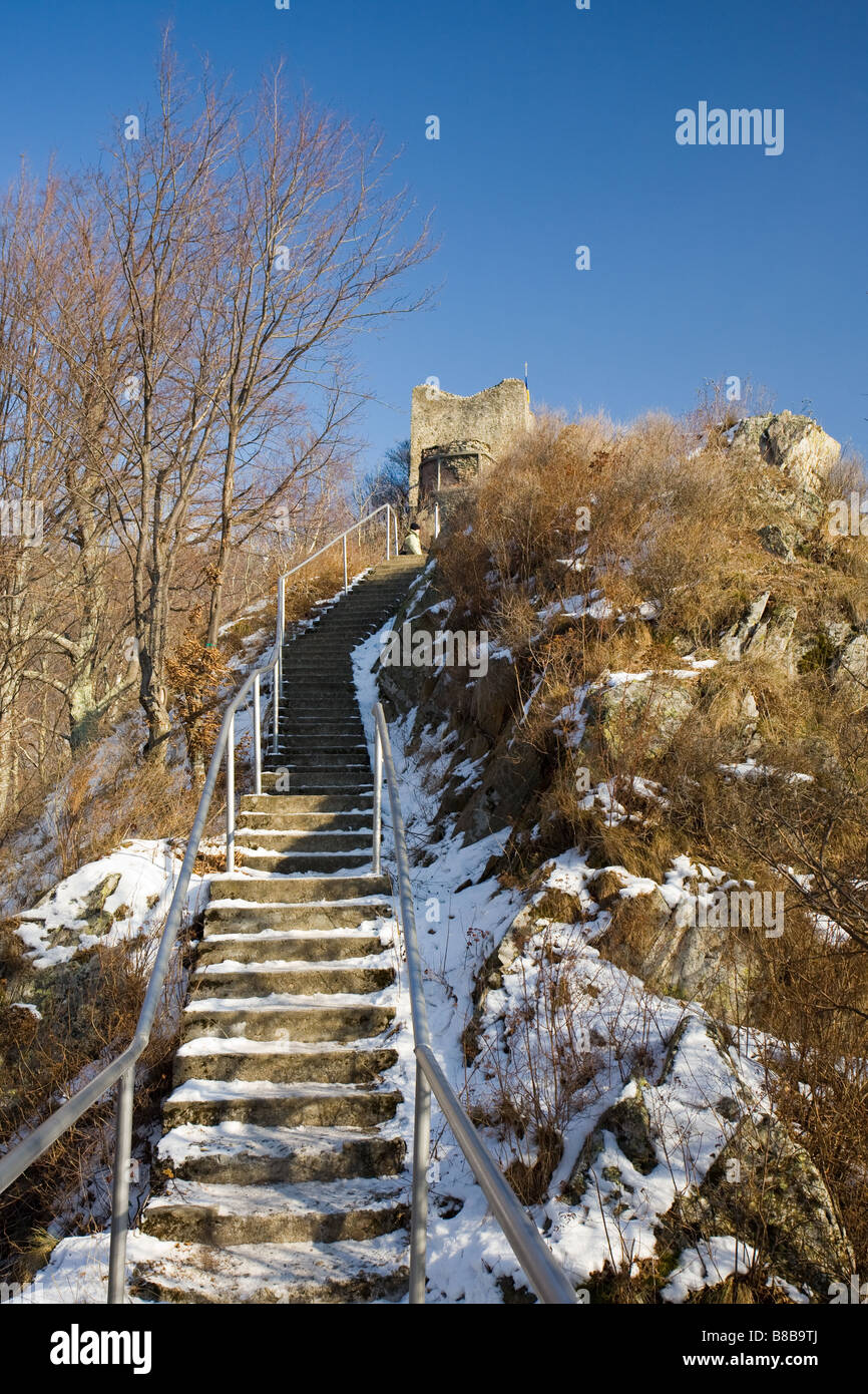 Paesaggio con ruderi di Dracula s fortezza in Romania Foto Stock