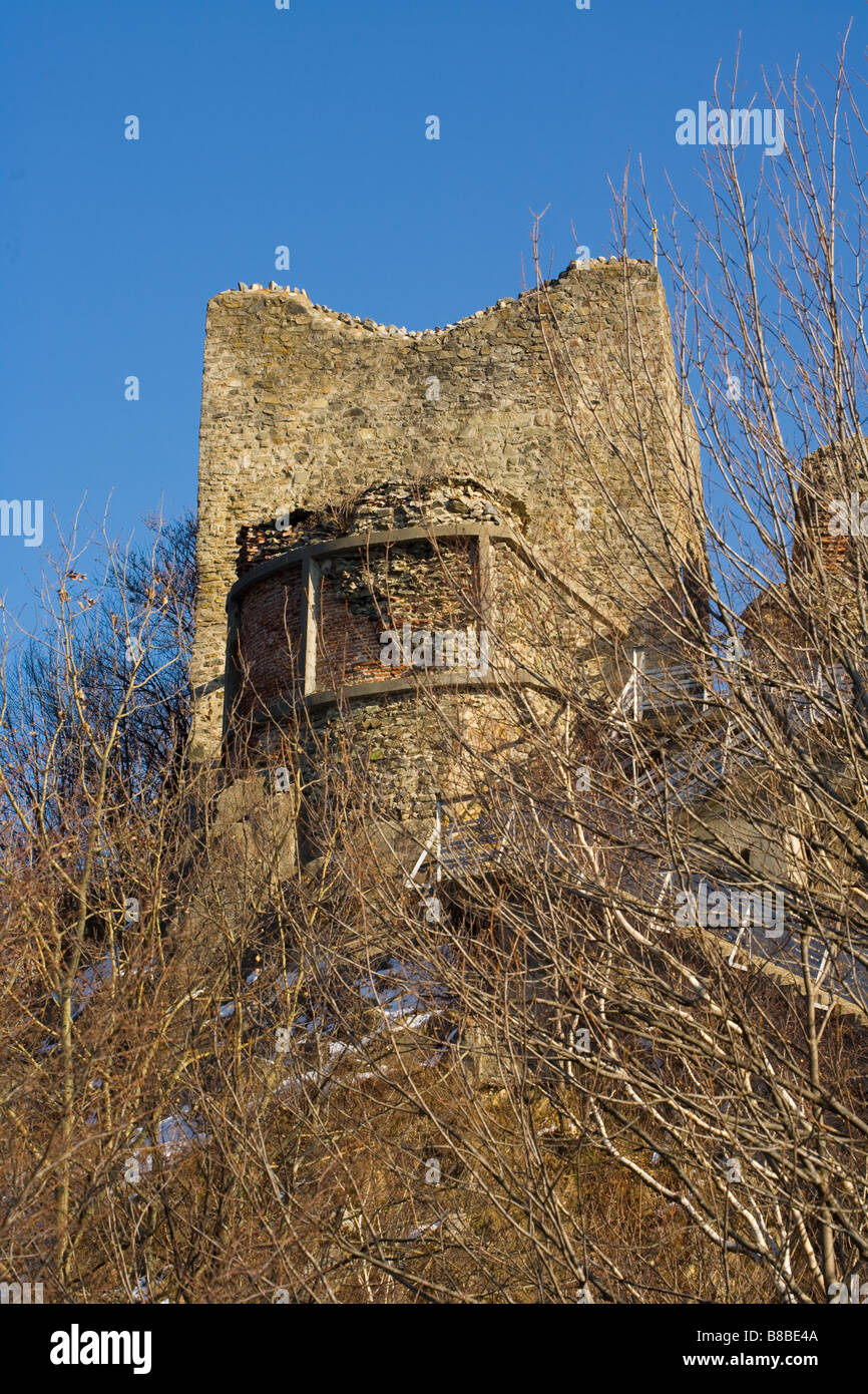 Paesaggio con ruderi di Dracula s fortezza in Romania Foto Stock