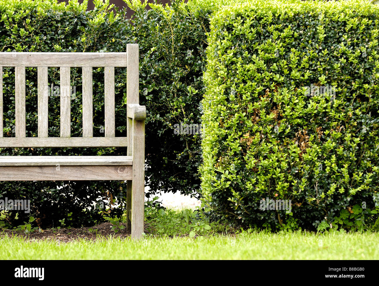 Panca e Hedge Foto Stock