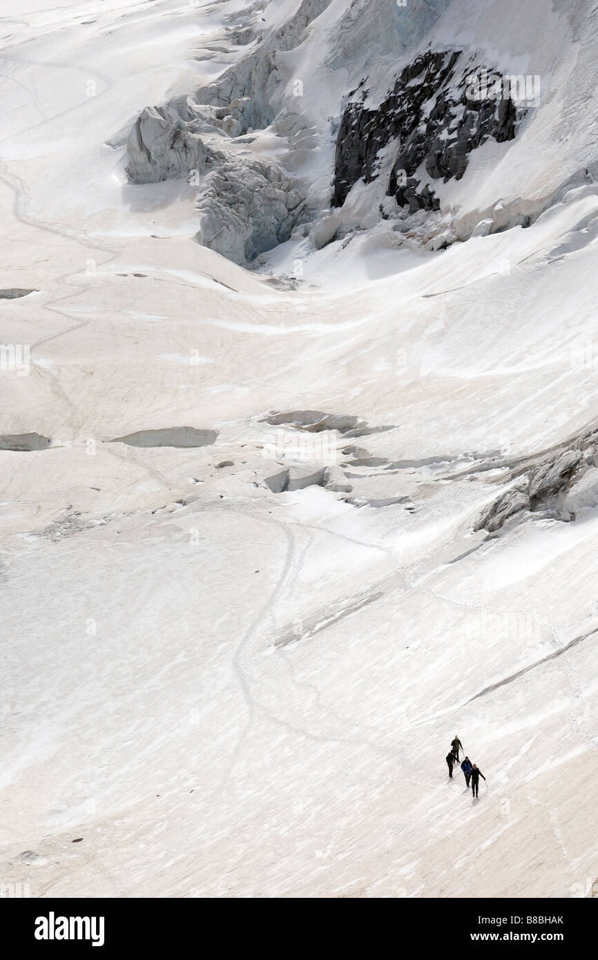 Crepaccio ghiacciaio di Laveciau alpinisti Gran Paradiso cordata glacier Parco Nazionale Gran Paradiso Valle Aosta Italia Foto Stock