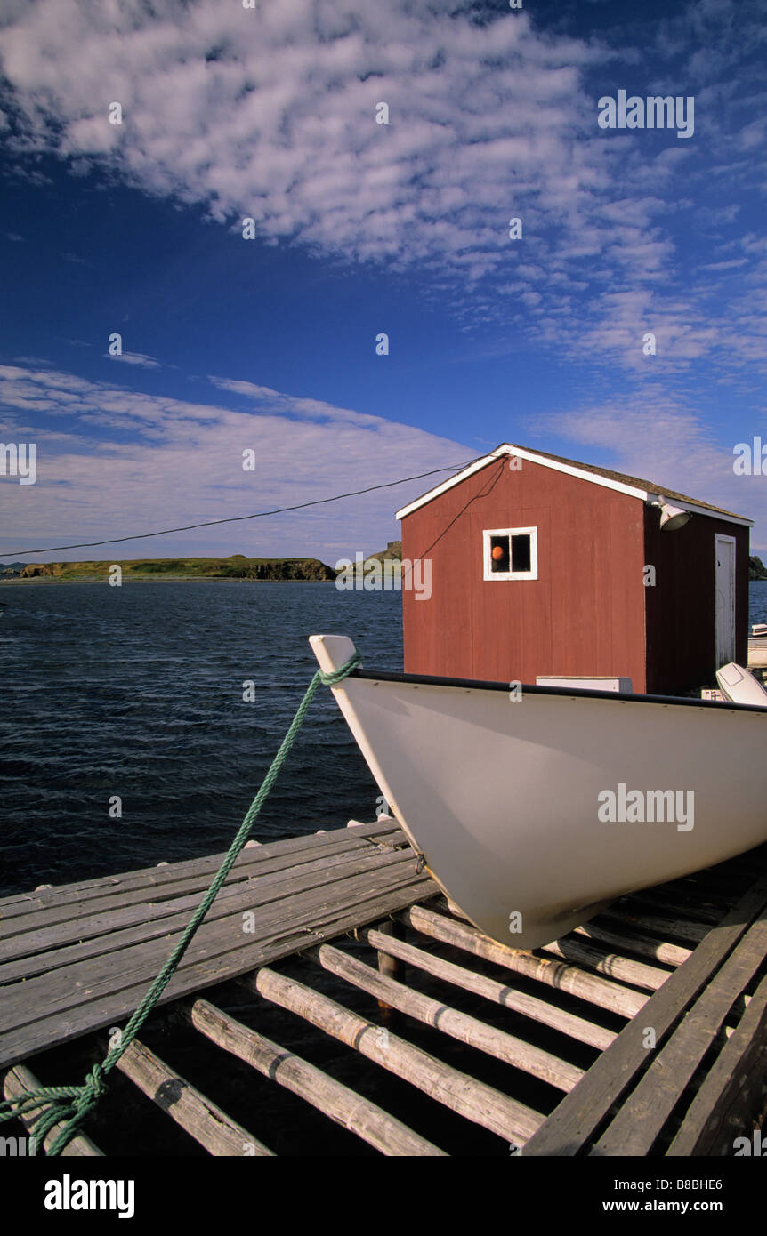 Porto di nero, nero Harbour Terranova Labrador Foto Stock