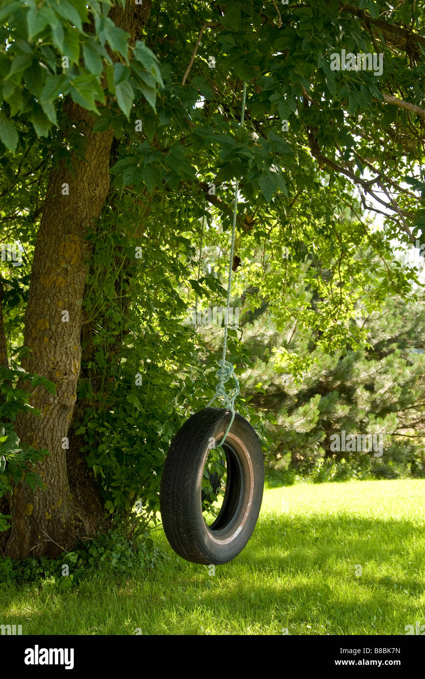 Tire Swing nei pressi di Northam, Confederazione Trail, Prince Edward Island, Canada. Foto Stock