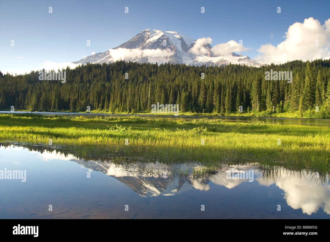 Lago di riflessione di Mt. Rainier National Park che riflette la piscina Cascade Mountains Foto Stock