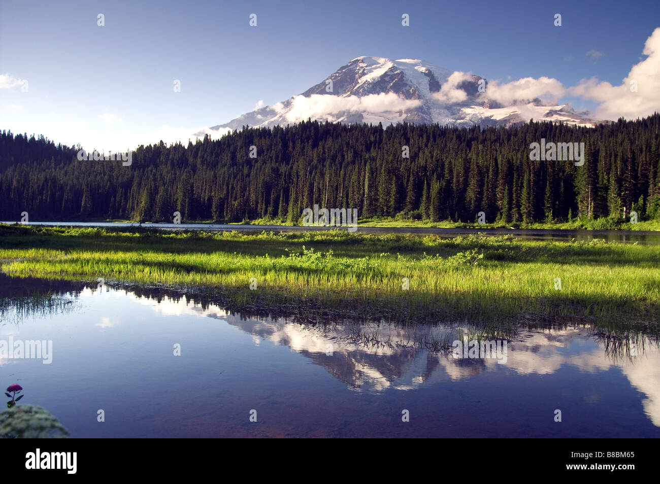 Lago di riflessione di Mt. Rainier National Park che riflette la piscina Cascade Mountains Foto Stock