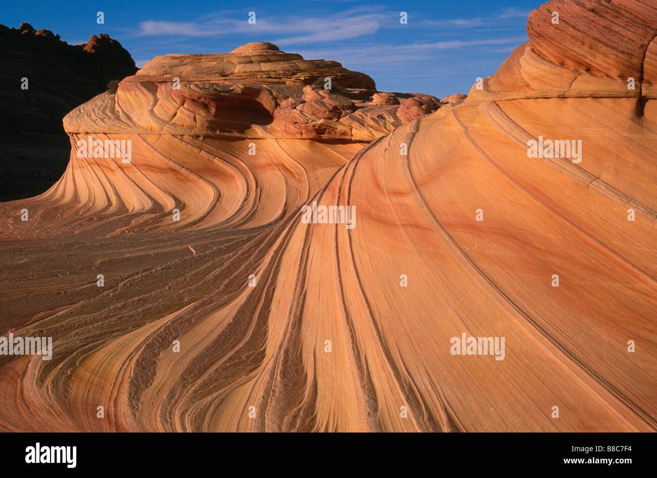 COYOTE BUTTE Foto Stock