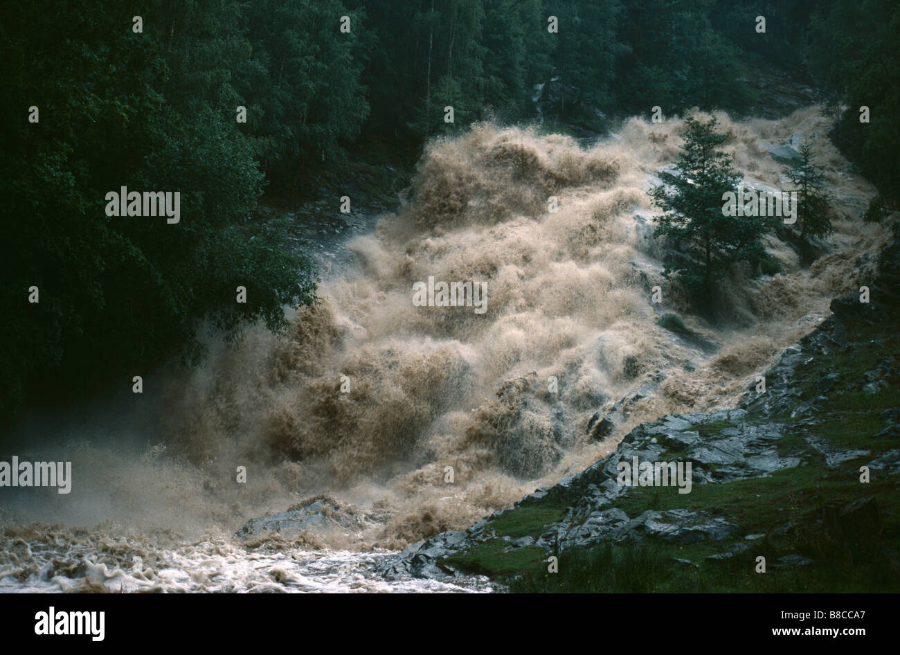 FLASH FLOOD Foto Stock