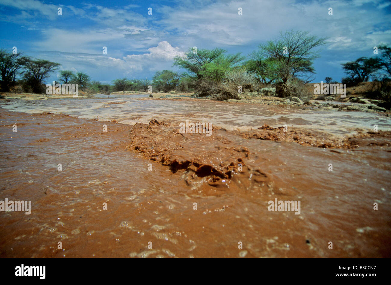 Uaso Nyiero fiume in piena Foto Stock