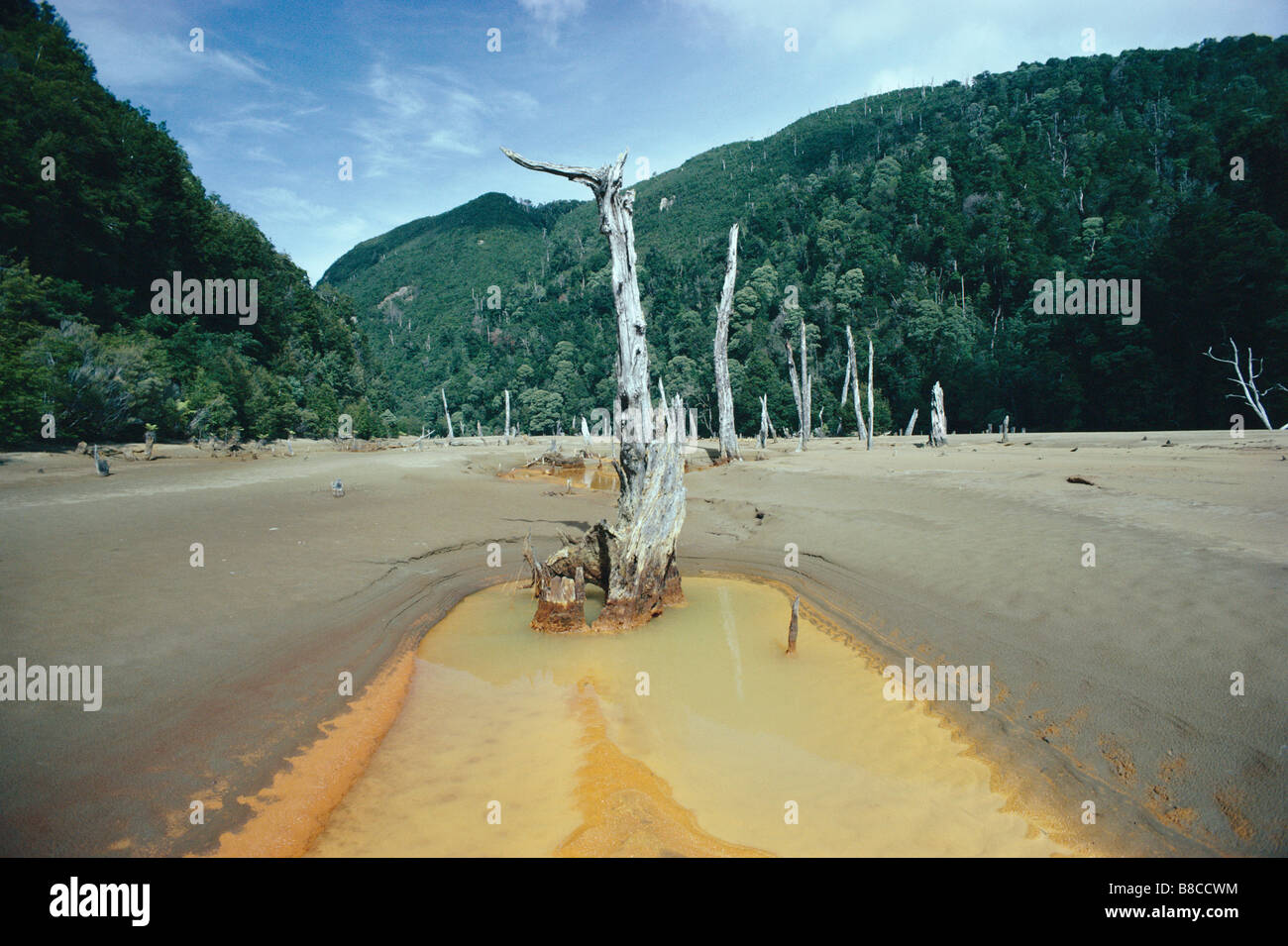 Inquinamento da rame Foto Stock