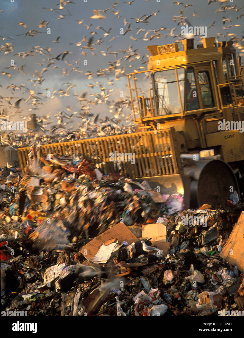 Bulldozer e dei rifiuti domestici Foto Stock