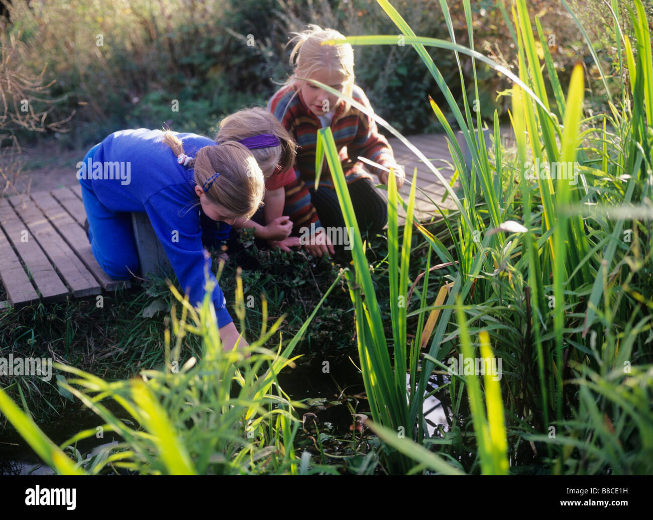 Bambini esplorando paludi Foto Stock