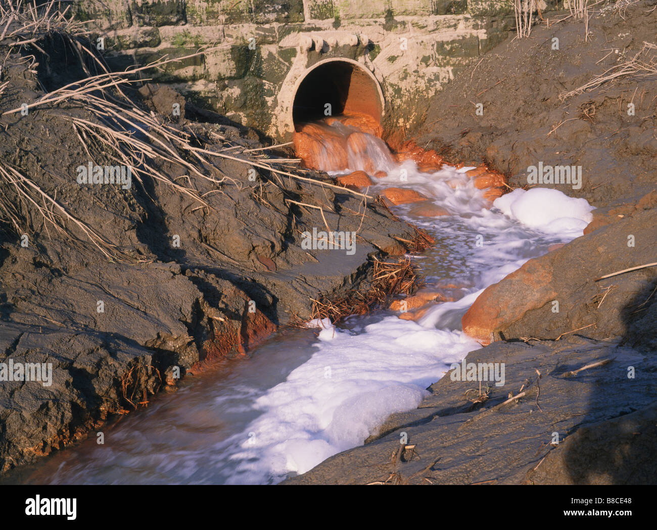 L'inquinamento del fiume dalla foce Foto Stock