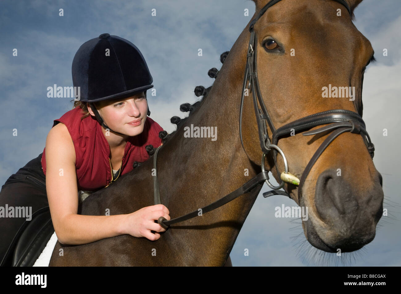 Cavallo femmina briglia di contenimento Foto Stock