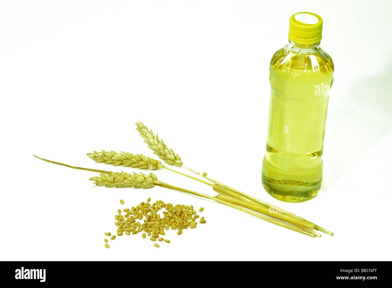 Frumento (Triticum sp.). Olio, orecchie e semi, studio immagine Foto Stock